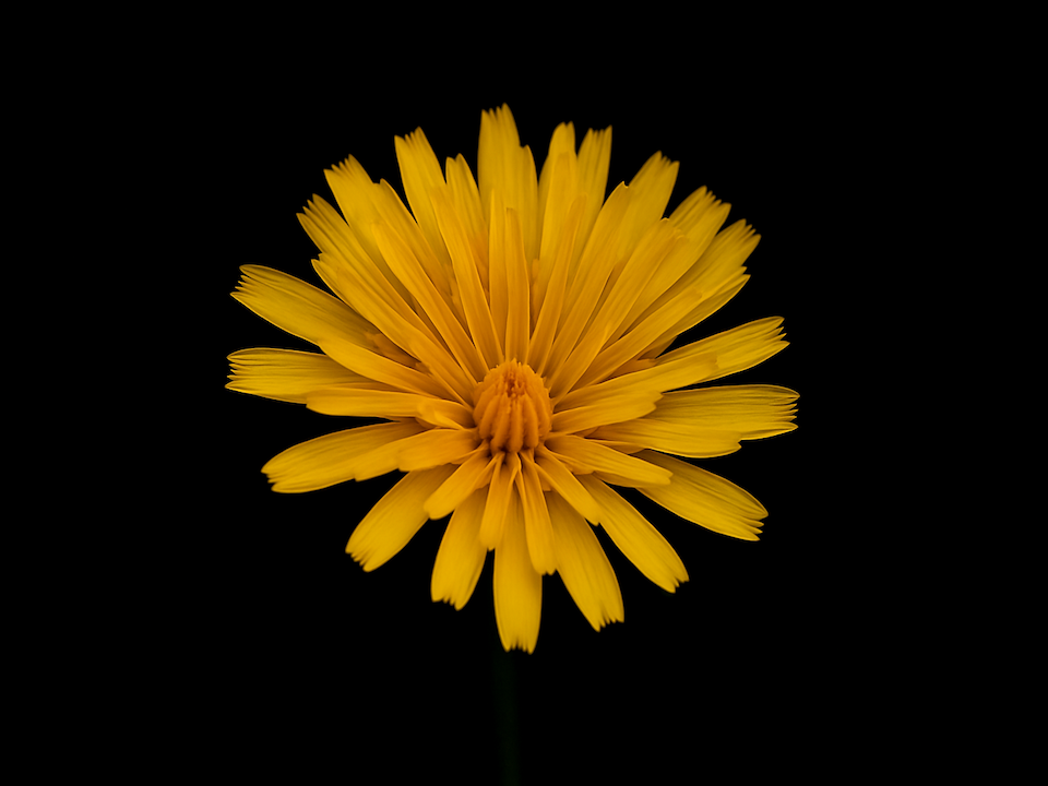 a room with a table, chairs and a microwave