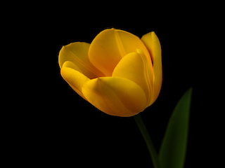 a living room with a couch a table and chairs
